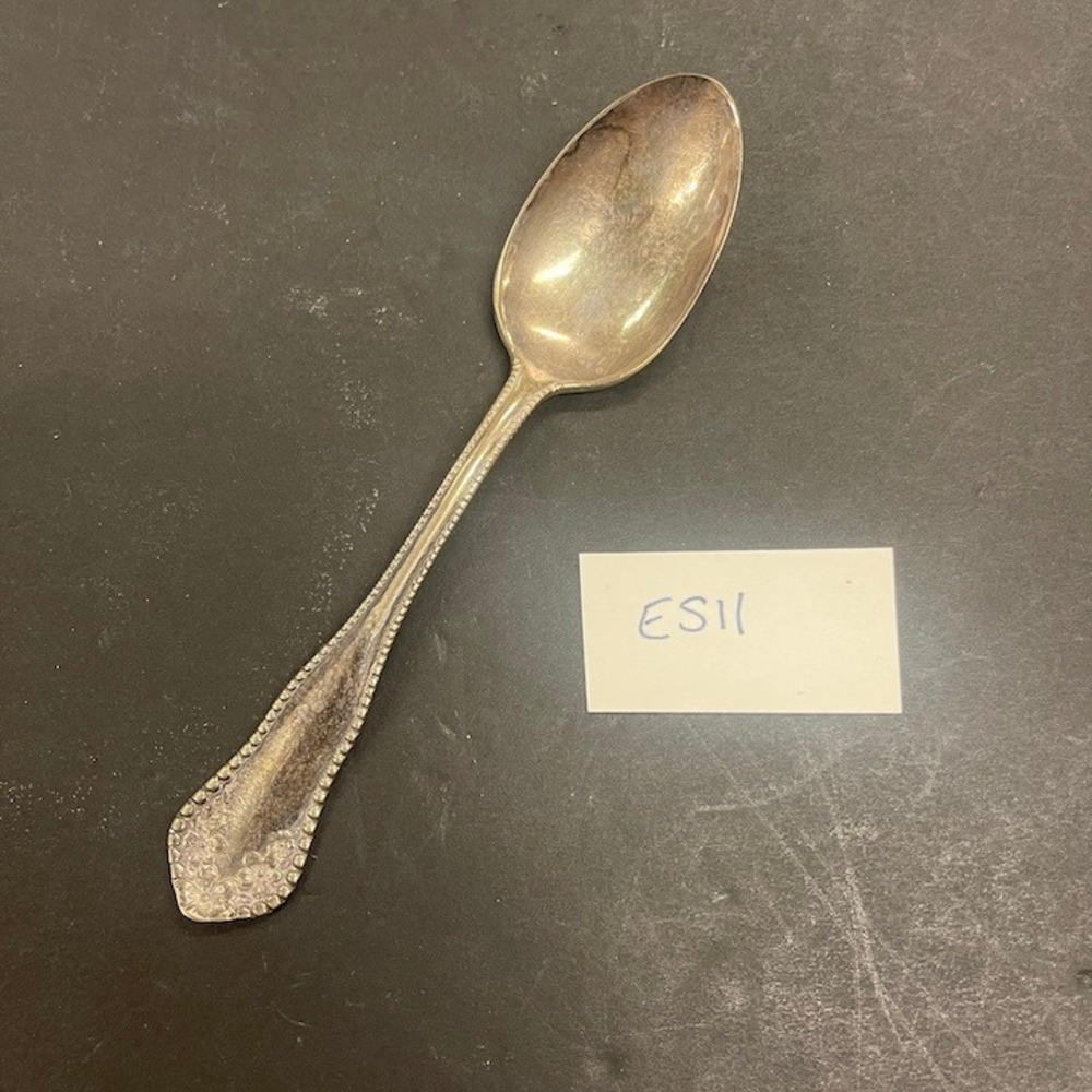 International Silver "Mayflower" (1896/1901) Silver-Plated Table Spoon ES11